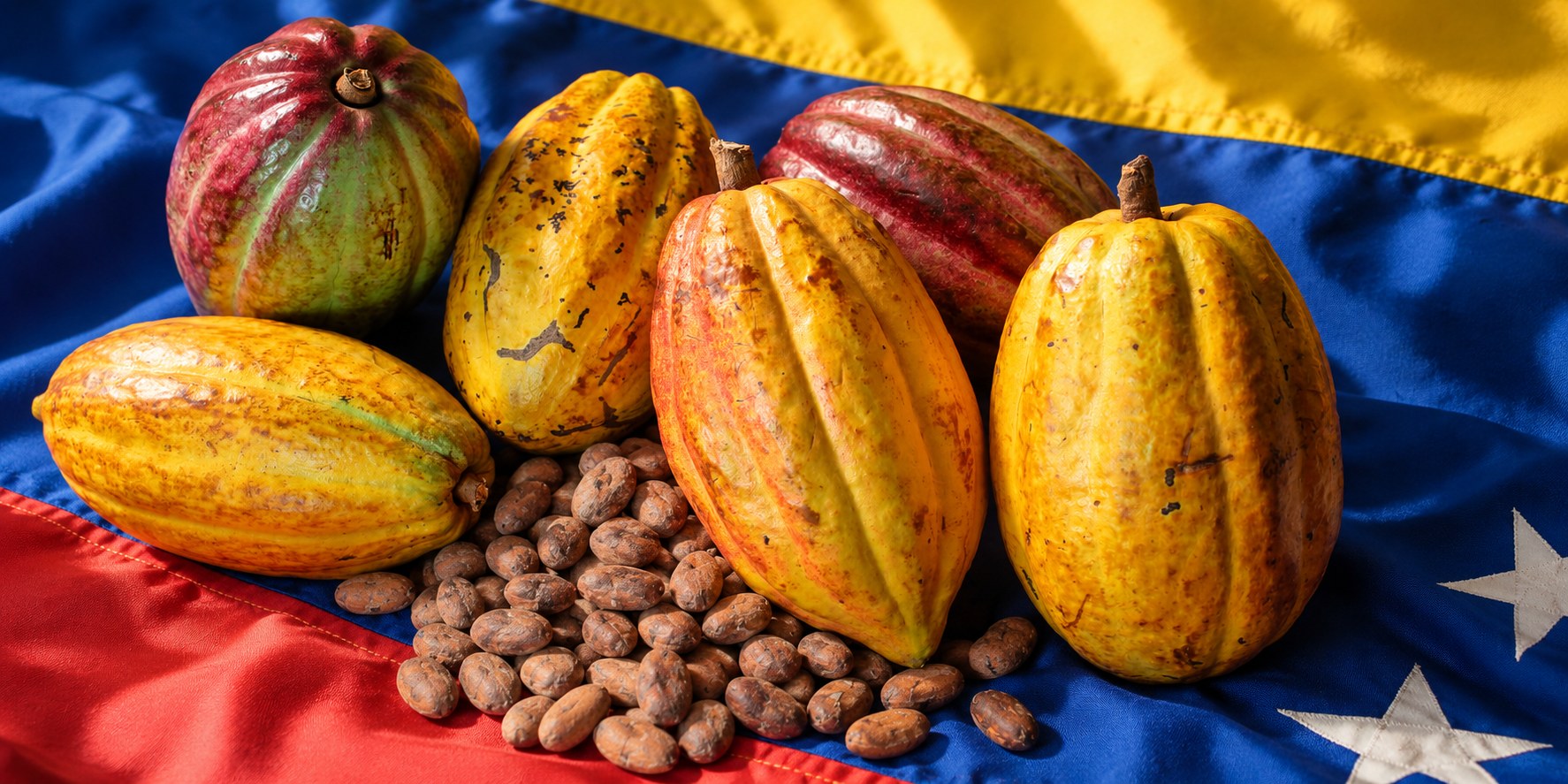 Venezuelan cacao pods and beans over the Venezuelan flag